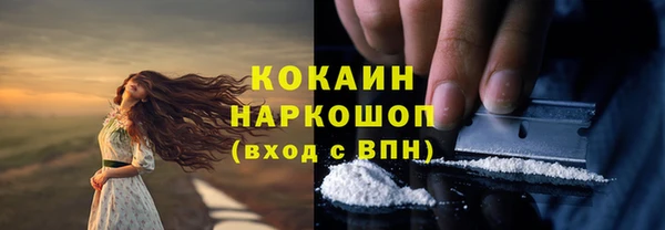 PSILOCYBIN Балабаново