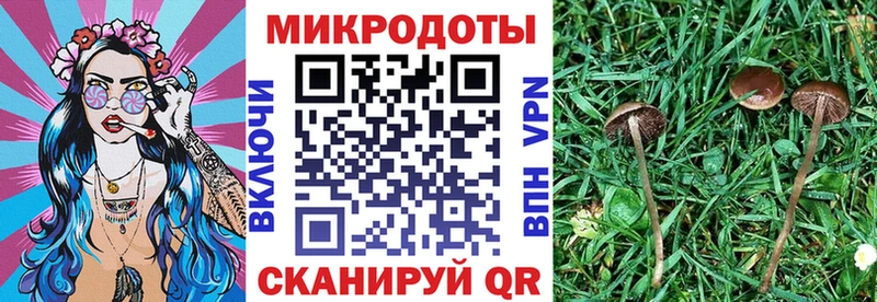 Псилоцибиновые грибы GOLDEN TEACHER  Мураши 
