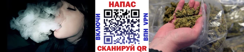 продажа наркотиков  Мураши  это клад  Шишки марихуана план 